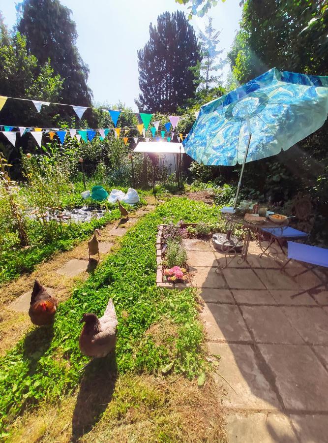 Modernes Zimmer Am Park Mit Garten, Huehner & Enten Monachium Zewnętrze zdjęcie