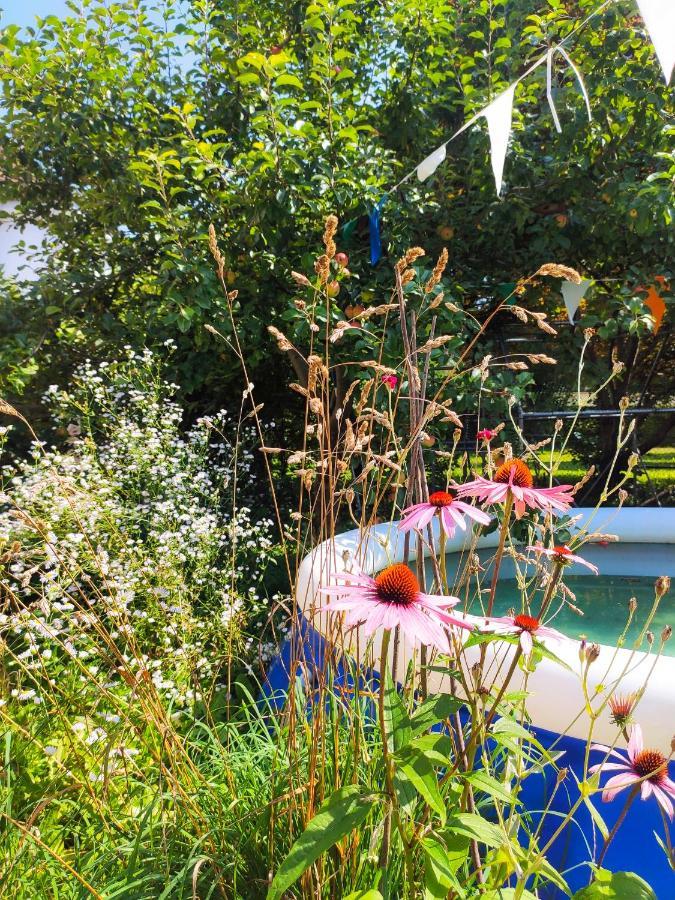 Modernes Zimmer Am Park Mit Garten, Huehner & Enten Monachium Zewnętrze zdjęcie
