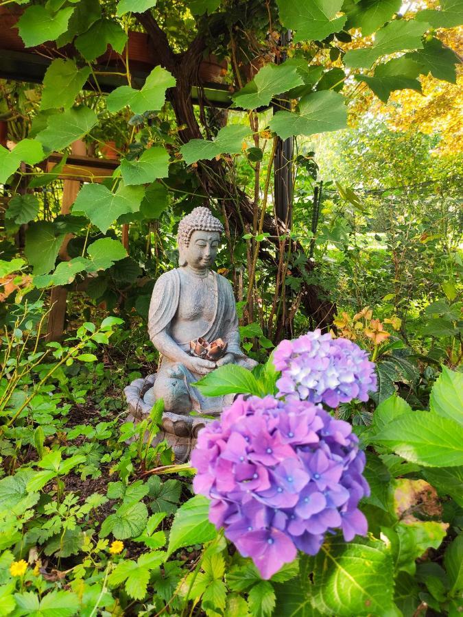Modernes Zimmer Am Park Mit Garten, Huehner & Enten Monachium Zewnętrze zdjęcie