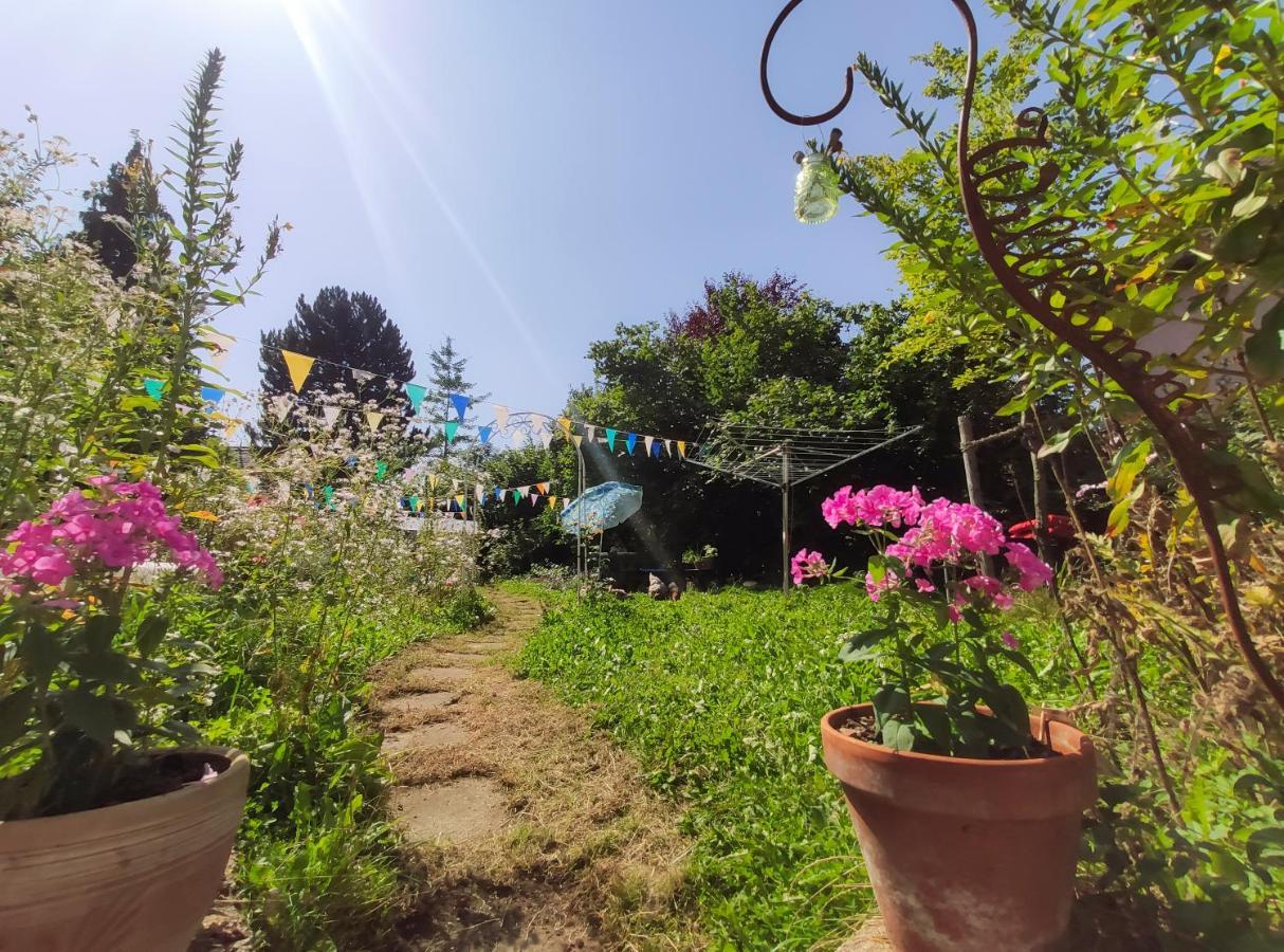 Modernes Zimmer Am Park Mit Garten, Huehner & Enten Monachium Zewnętrze zdjęcie
